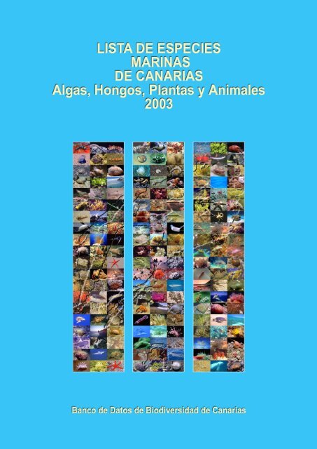 Lista de especies marinas de Canarias. Algas, Hongos