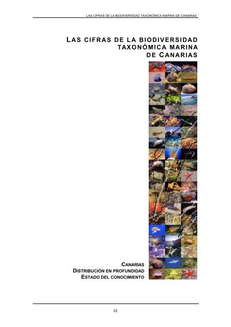 Lista de especies marinas de Canarias. Algas, Hongos
