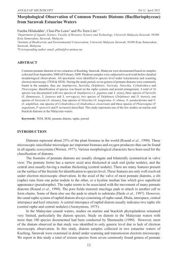 Morphological Observation of Common Pennate Diatoms ...