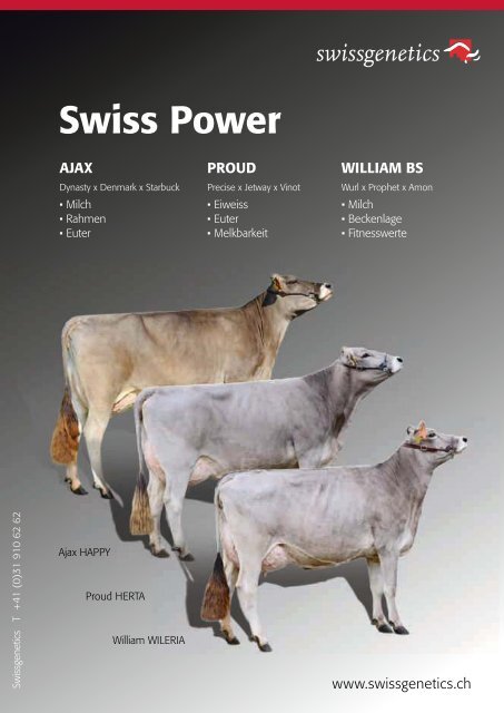 Top Brown Swiss Sale - Swissgenetics