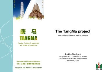 The TangMa project - ICLD