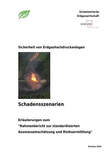 2 Fehler- und Ereignisbaum - Swissgas