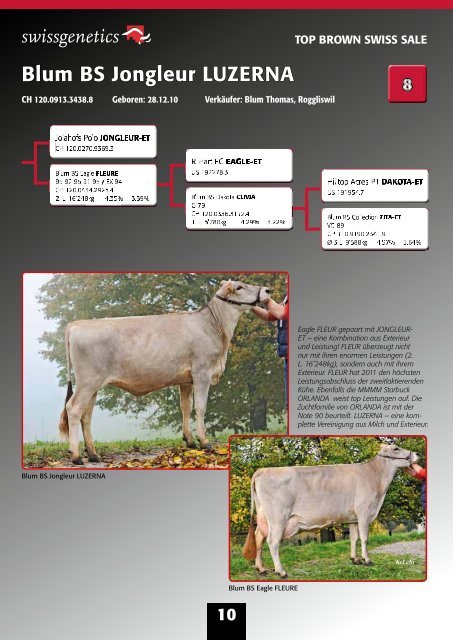 "Top Brown Swiss Sale" als PDF - Swissgenetics