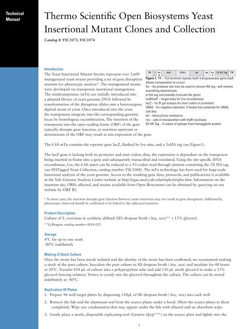 Yeast Insertional Mutant Clones and Collection ... - Thermo Scientific