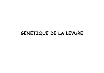 Génétique de la Levure