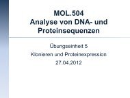 MOL.504 Analyse von DNA- und Proteinsequenzen