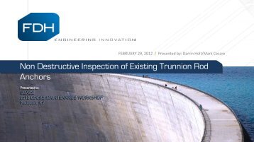 Non Destructive Inspection of Existing Trunnion Rod Anchors
