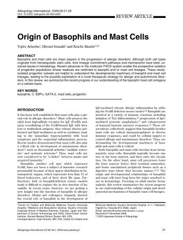 Origin of Basophils and Mast Cells - Allergology International
