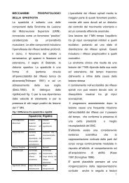 Meccanismi fisiopatologici della spasticità - FisioBrain