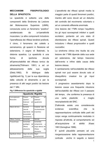 Meccanismi fisiopatologici della spasticità - FisioBrain