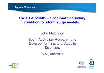 The CTW paddle – a backward boundary condition for storm surge ...