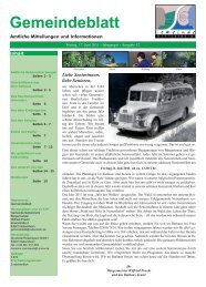 Gemeindeblatt Ausgabe 12, 2011 zum Download - Nettersheim