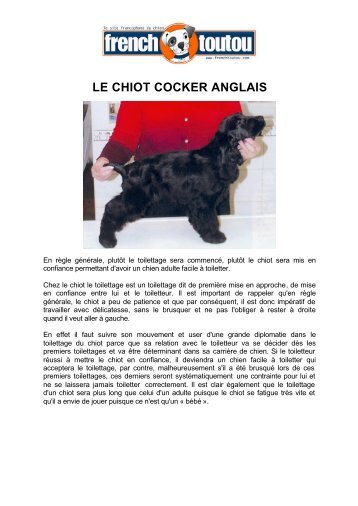 LE CHIOT COCKER ANGLAIS - Frenchtoutou