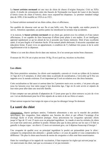 conseils chiots version pour le site - Basset Artésien Normand de ...