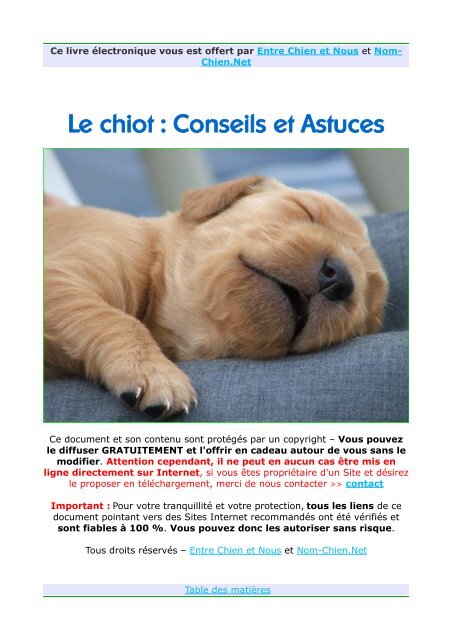 Le chiot : Conseils et Astuces - Chiens de France