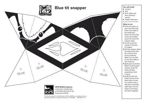 Blue tit snapper - RSPB