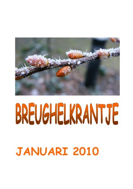 JANUARI 2010 - OCMW Dilbeek