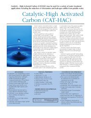 Catalytic-High Activated Carbon (CAT-HAC)