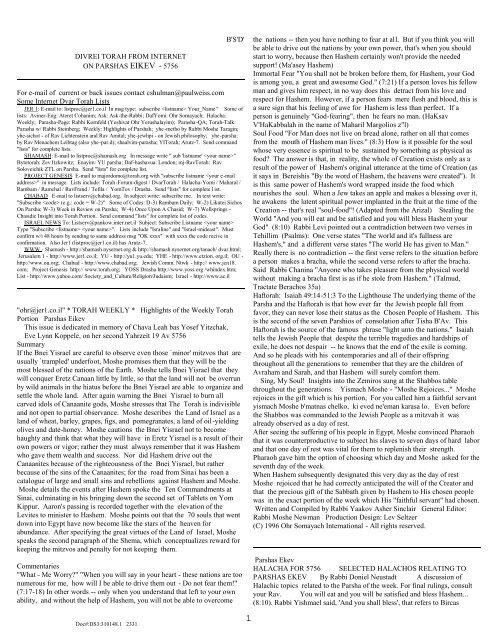 B'S'D' - Internet Parsha Sheet