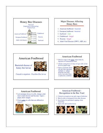 Bee Diseases (Fell) (PDF | 460KB) - Virginia Tech