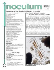 March 2008 - Mycological Society of America