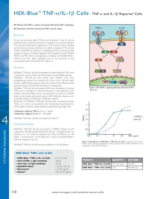 scaricalo in formato PDF - labogen srl