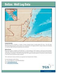 Belize: Well Log Data - Ambergris Caye