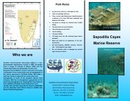 Sapodilla Cayes Marine Reserve - Southern Environmental ...