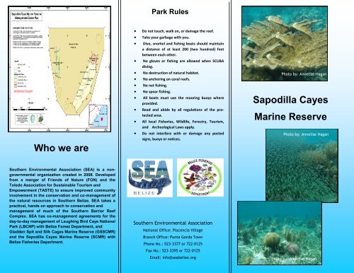 Sapodilla Cayes Marine Reserve - Southern Environmental ...