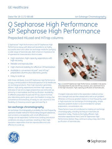 [PDF] Q Sepharose High Performance and SP Sepharose High ...