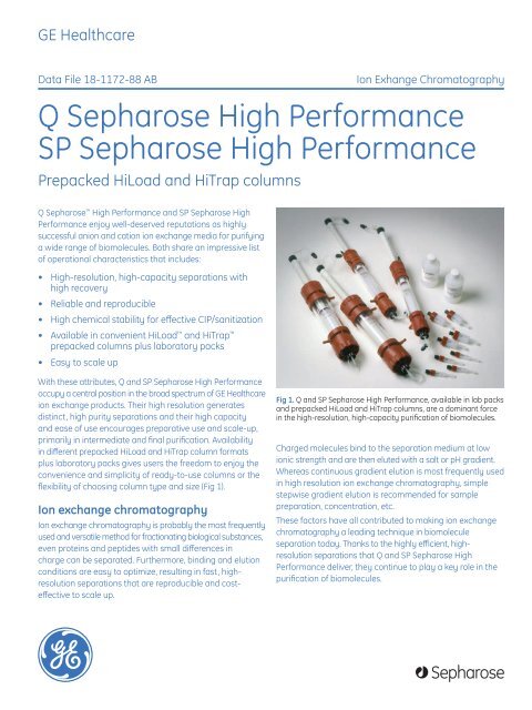 [PDF] Q Sepharose High Performance and SP Sepharose High ...