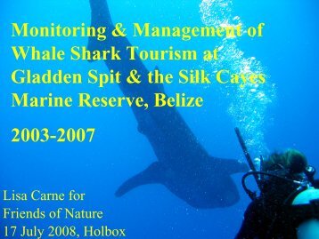 Whale Shark Tourism 2005 - Domino.conanp.gob.mx