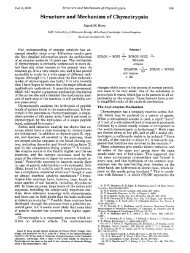 Structure and Mechanism of Chymotrypsin - Chemistry Courses