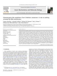 Chymotrypsin-like peptidases from Tribolium castaneum: A role in ...