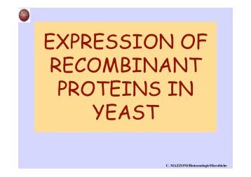 expression of recombinant proteins in yeast - Prof. C. Mazzoni