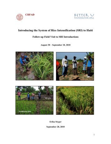 Haiti SRI Trip Report Sept2010 Introducing the System of Rice ...