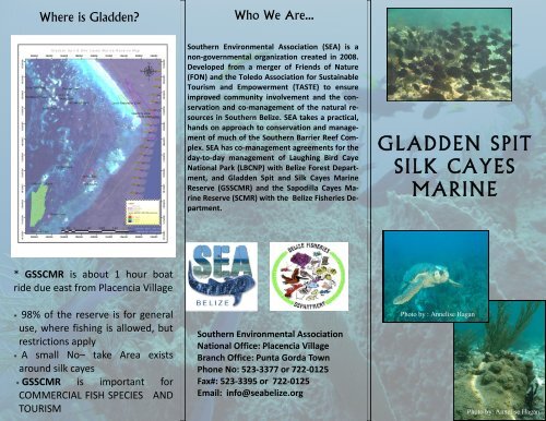 gladden spit silk cayes marine - Southern Environmental Association
