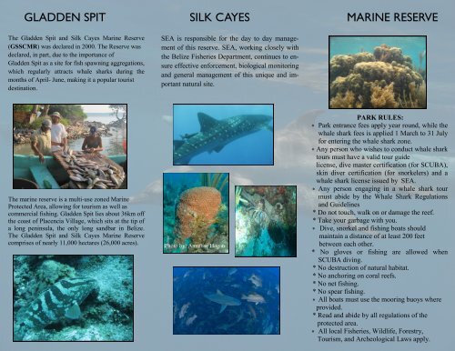 gladden spit silk cayes marine - Southern Environmental Association