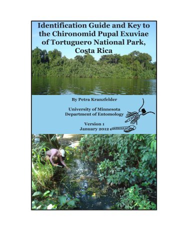 Part 1- Identification Guide and Key to the - Chironomidae Research ...