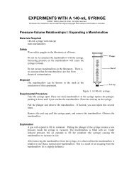 EXPERIMENTS WITH A 140-mL SYRINGE - Chymist.com