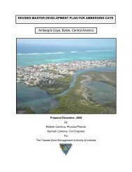 REVISED MASTER DEVELOPMENT PLAN FOR ... - Ambergris Caye