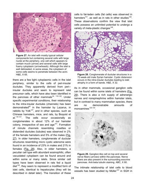 Download PDF - The Pancreapedia