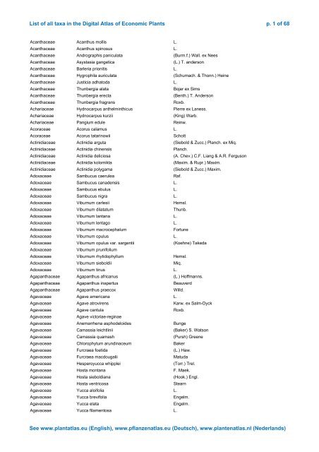 List of all taxa in the Digital Atlas - Digital Plant Atlas Project