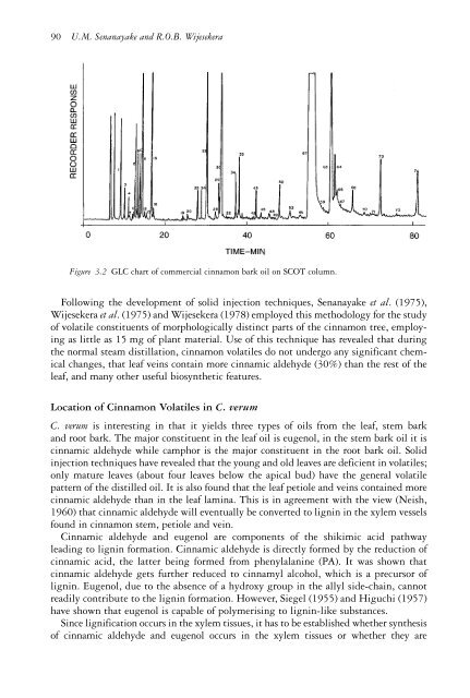 The genus Cinnamomum