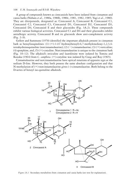 The genus Cinnamomum