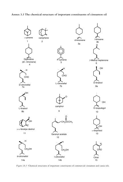 The genus Cinnamomum