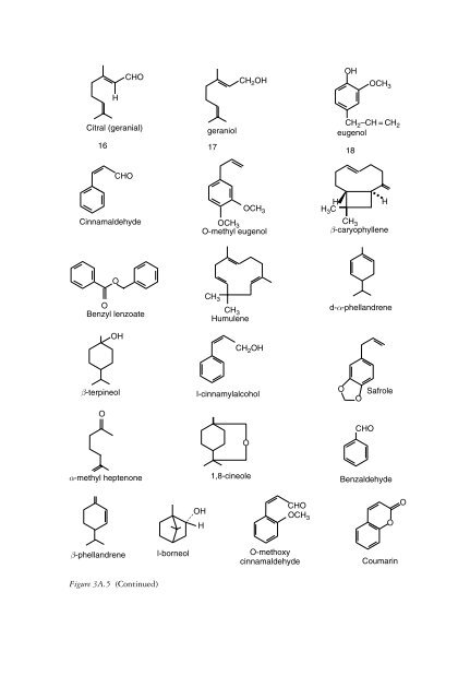 The genus Cinnamomum