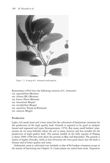 The genus Cinnamomum