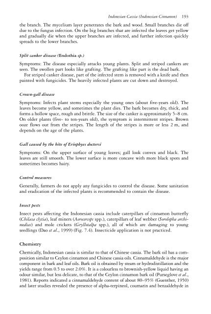 The genus Cinnamomum