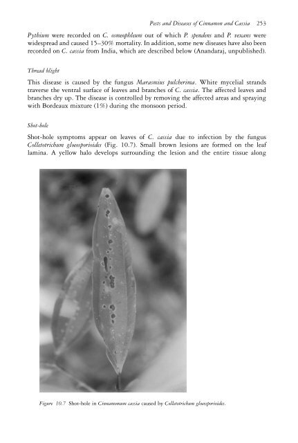 The genus Cinnamomum